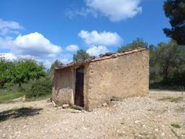 FINCA DE REGADIO CON PEQUEÑA CONSTRUCCION EN PINELL DE BRAI photo 0