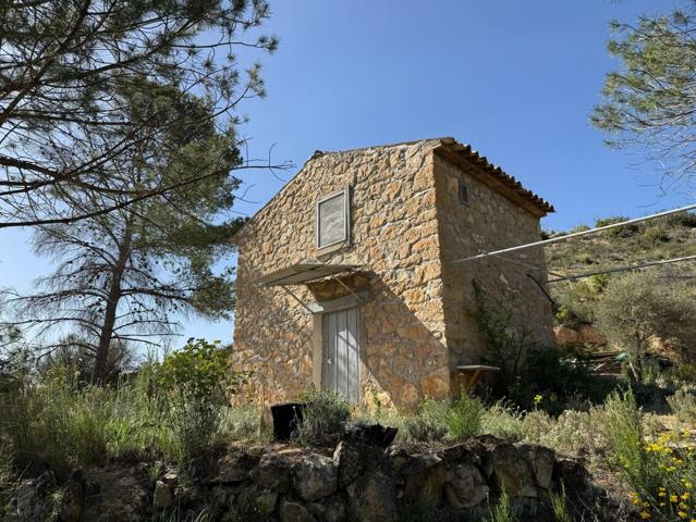 OCASION FINCA RUSTICA DE 10 HAS. CON MASIA DE DOS PLANTAS ACONDICIONADA EN VINEBRE photo 0