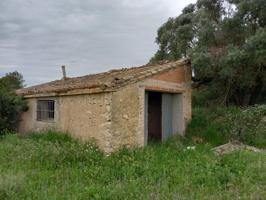 OCASION FINCA RUSTICA DE 4,5 HAS AL PIE DE LA N-420 CON MASIA DE 75 M2 EN MORA D´EBRE photo 0