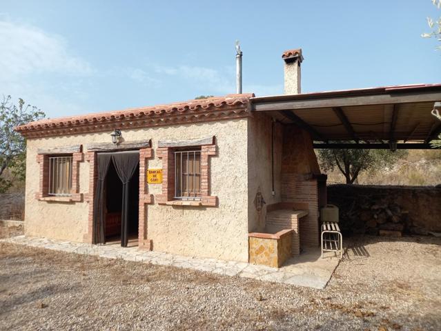 FINCA DE REGADIO PLANTADA DE OLIVOS EN PRODUCCION CON MASIA, POZO Y CISTERNA photo 0