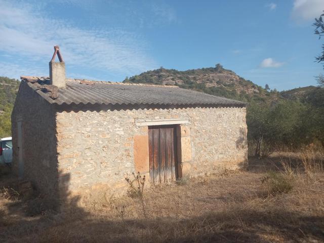 OPORTUNIDAD FINCA RUSTICA DE 1,7 HAS.CON MASIA DE PIEDRA EN LA TORRE DE L´ESPANYOL photo 0