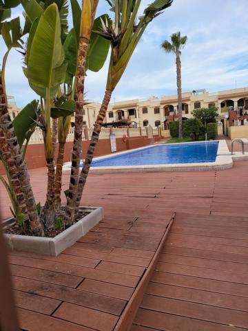 TORREVIEJA 2HABS, PISCINA Y GRAN SOLARIUM PRIVADO 104.900€ photo 0