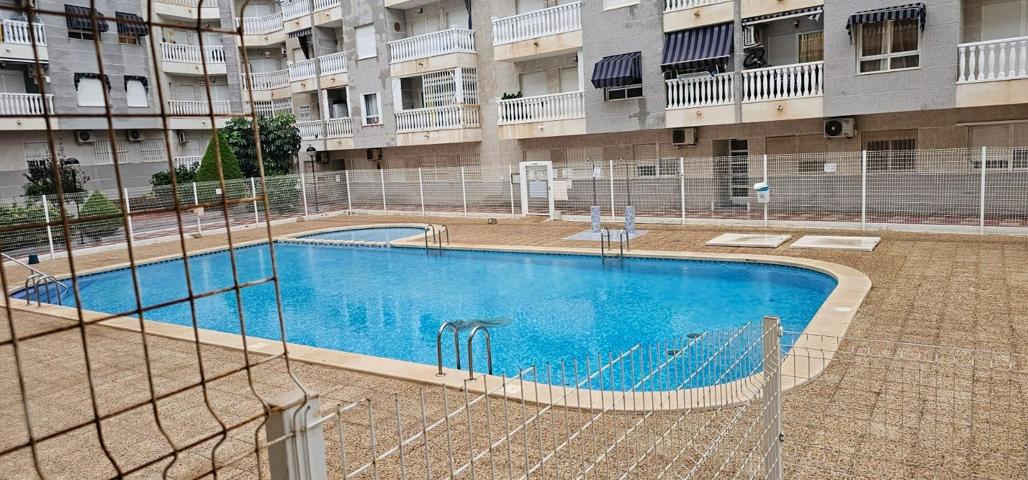 TORREVIEJA 3 HABS PISCINA 138.000 EUROS photo 0