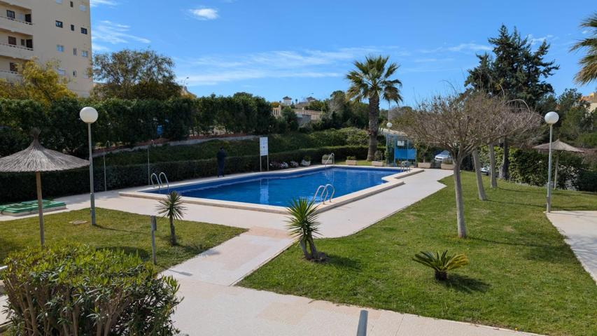 ESTUDIO CERCA DEL MAR CON PISCINA COMUNITARIA 85.900€ photo 0