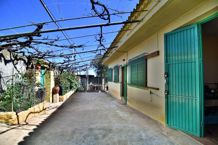 FINCA EN LAS COLORADAS-SAN MATEO photo 0
