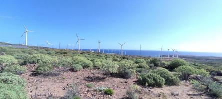 TERRENO EN ABADES, ARICO - TENERIFE SUR photo 0