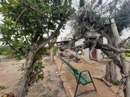 Parcela rustica con cuarto de aperos huerta de Beniajan photo 0