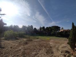 PARCELA EN ALTORREAL photo 0