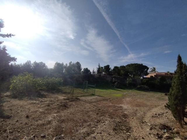 PARCELA EN ALTORREAL photo 0