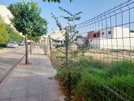 Parcela en Urbanización Nuevo Beniajan photo 0