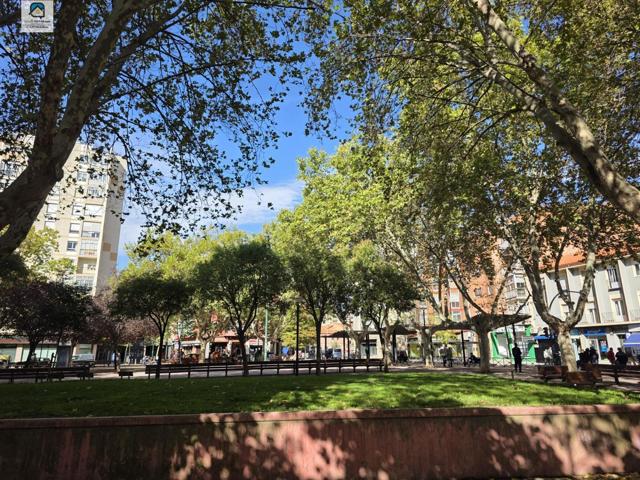 Estudio Reformado en el Corazón de Vadillos, Valladolid photo 0