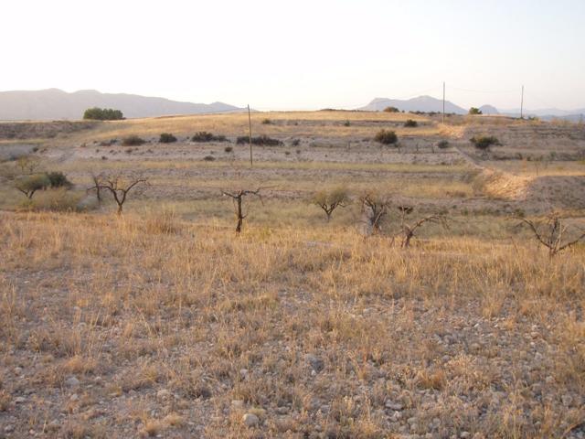 Terreno En la Alquebla photo 0