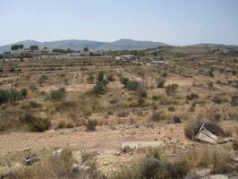 TERRENO RUSTICO photo 0