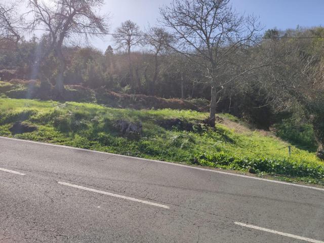 TERRENO EN LA OROTAVA, AGUAMANSA photo 0
