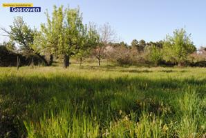 MARAVILLOSA PARCELA RÚSTICA LIMÍTROFE CON RÍO, POSIBILIDAD DE AGUA Y LUZ photo 0