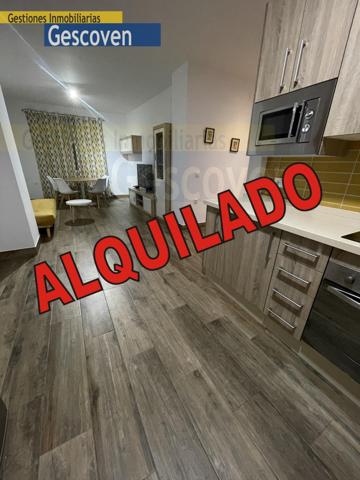 GRAN APARTAMENTO, DOS DORMITORIOS, TERRAZA Y PARKING photo 0