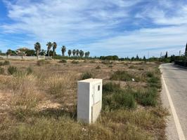 PARTIDA MAITINO PARCELA RÚSTICA DE 12.393 M2 TIENE CONTADOR DE LUZ A FALTA DE CONTRATACIÓN photo 0