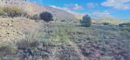 SE VENDE TERRENO RÚSTICO EN LA ROMANA – ZONA LA SOLANA photo 0
