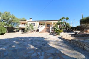 🌴 Espectacular Chalet Independiente en Punta La Sierra, Santa Pola 🏡 photo 0