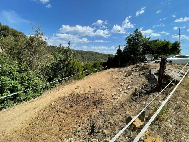 Terreno agrícola en Sant Climent de Llobregat photo 0