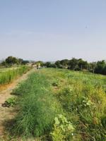 agrícola , para cultivar tus propias verduras y frutas, gava photo 0