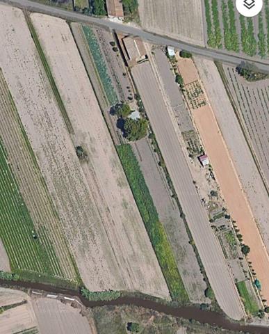 agrícola , para cultivar tus propias verduras y frutas, gava photo 0