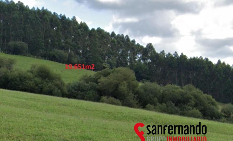 Conjunto de 5 Parcelas Rústicas en Liermo, Ribamontán al Monte photo 0