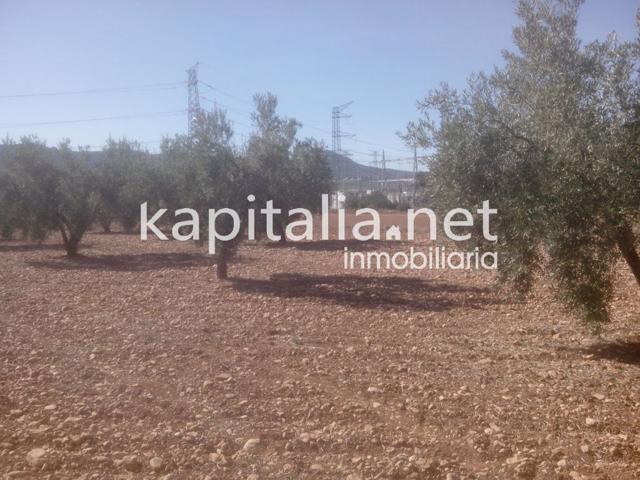Terreno a la venta en Termino de Banyeres photo 0
