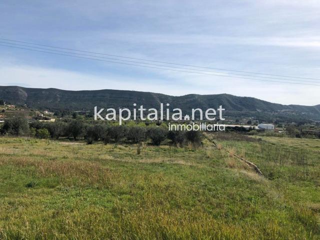 Terreno Urbanizable En venta en Canals, Canals photo 0