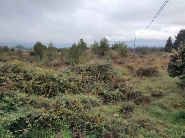 TERRENO PARA HUERTA A LA VENTA UBICADO EN EL LLOMBO. photo 0