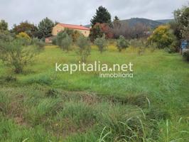TERRENO PARA HUERTA A LA VENTA UBICADO EN EL LLOMBO. photo 0