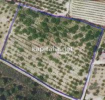 TERRENO EN VENTA EN ALBAIDA photo 0