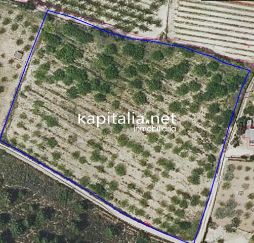 TERRENO EN VENTA EN ALBAIDA photo 0