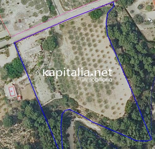 PARCELA EN ZONA SANTA ANA ONTINYENT photo 0