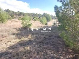TERRENO NO URBANIZABLE A LA VENTA EN ONTINYENT, ZONA DE TODOS LOS VIENTOS photo 0
