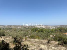 PARCELA A LA VENTA EN BOCAIRENT photo 0