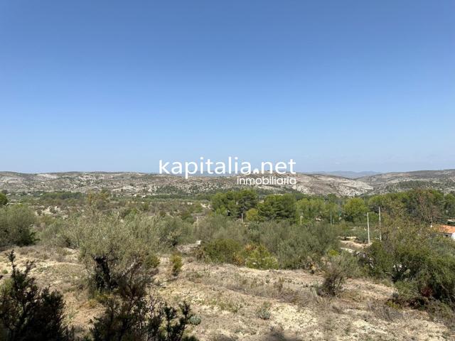 PARCELA A LA VENTA EN BOCAIRENT photo 0