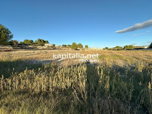 PARCELA URBANIZABLE EN ONTINYENT photo 0