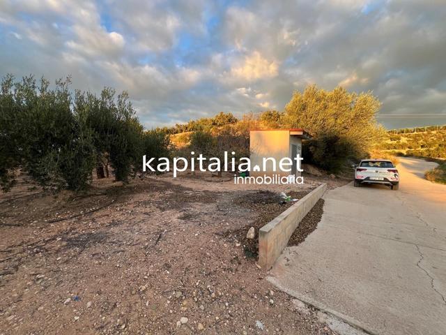 TERRENO AGRICOLA A LA VENTA EN ROTGLA CORBERA photo 0