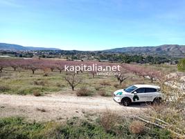 PARCELAS A LA VENTA EN LOS TERMINOS DE ONTINYENT Y AGULLENT, ZONA CALS XOPS Y CAL CANONGE photo 0