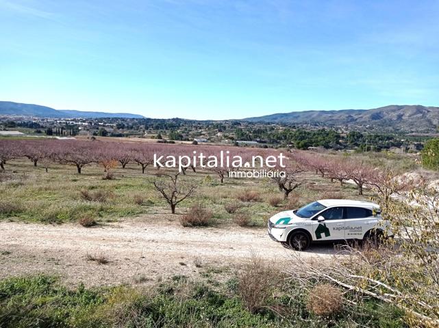 PARCELAS A LA VENTA EN LOS TERMINOS DE ONTINYENT Y AGULLENT, ZONA CALS XOPS Y CAL CANONGE photo 0