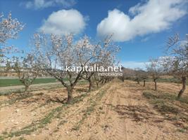 FINCA RUSTICA A LA VENTA photo 0