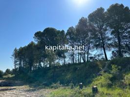 PARCELA PARA CONSTRUIR A LA VENTA EN ALFAFARA photo 0