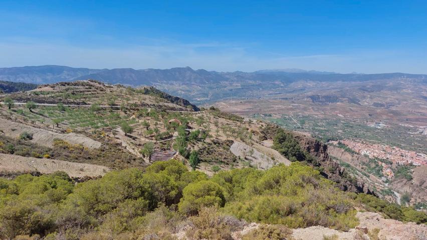 Finca rústica en venta en Camino de la Rinconada ( El Pinillo) photo 0