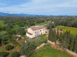 GRAN POSSESIÓ MALLORQUINA CON 70 HECTAREAS EN SINEU photo 0