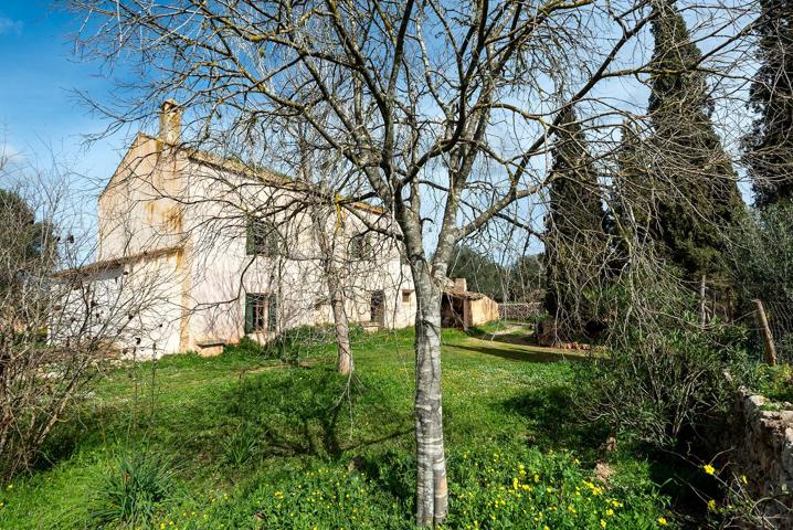 GRAN POSSESIÓ MALLORQUINA CON 43 HECTAREAS EN SINEU photo 0