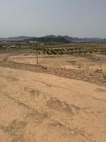 Parcela con excelentes vistas en Jumilla photo 0