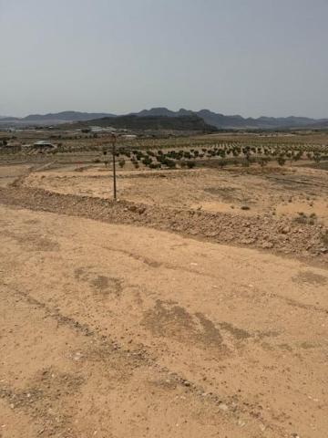 Parcela con excelentes vistas en Jumilla photo 0