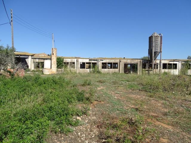 Finca rústica de 7.000 m2 con granjas. photo 0