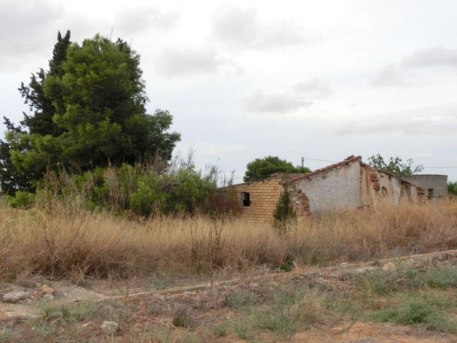 Finca rústica de regadio con caseta. photo 0